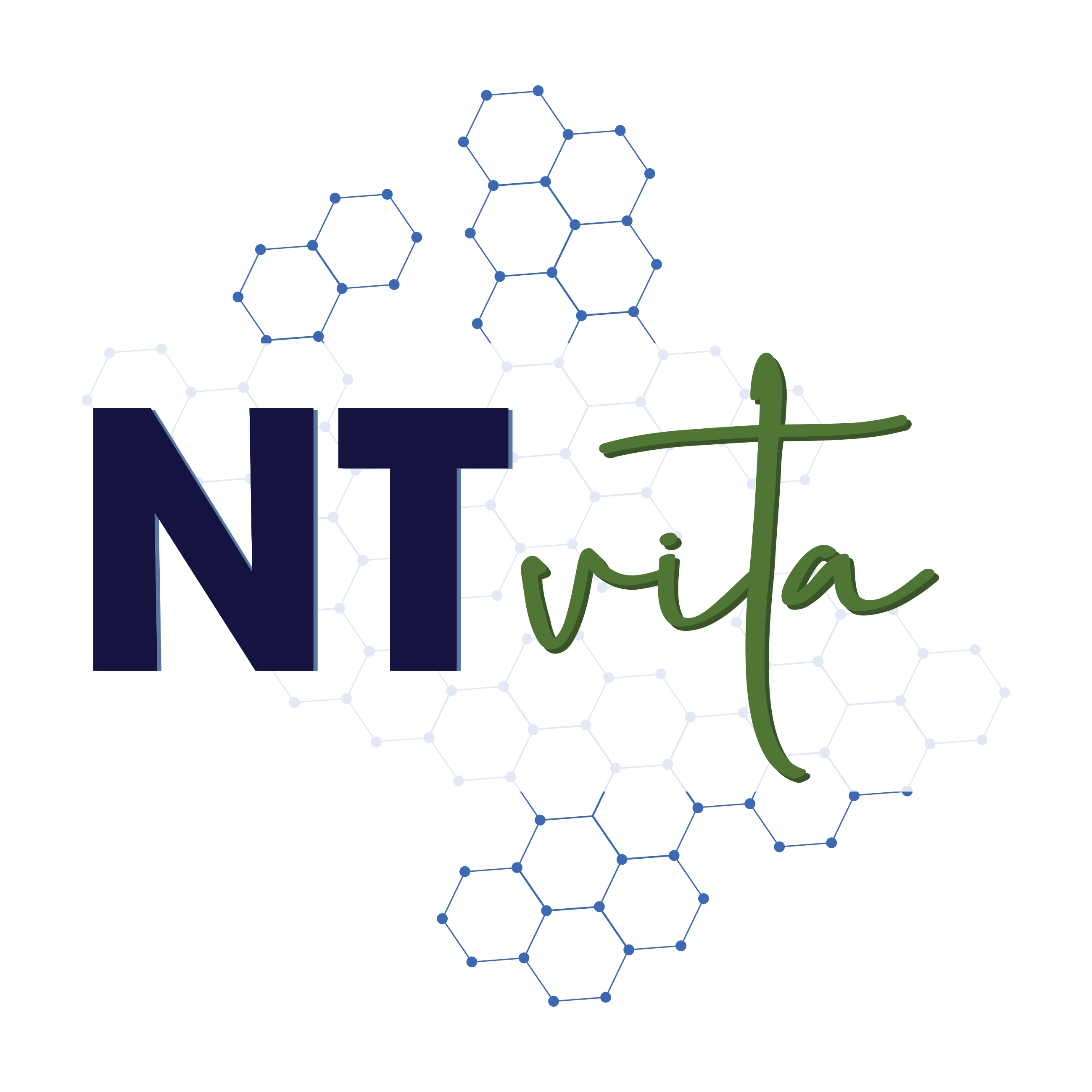 NT VITA
